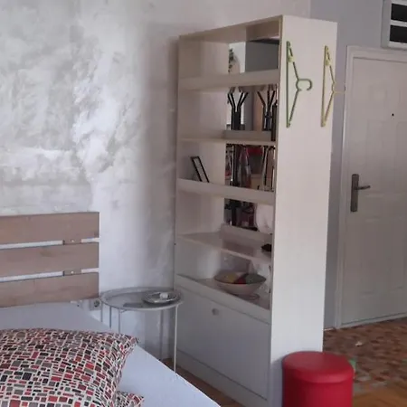 Zira1 נובי סאד