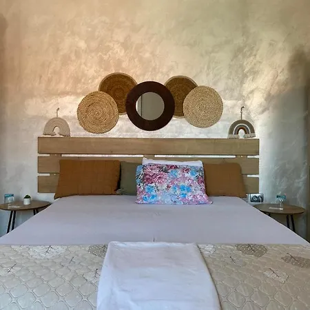 Zira1 נובי סאד